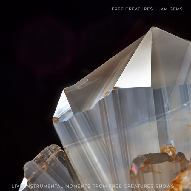 Jam Gems - Live Instrumental Moments from Free Creatures Shows cover art
