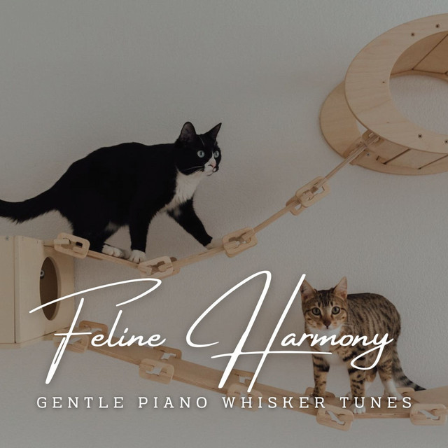 Piano Purrscapes: Feline Harmony cover art