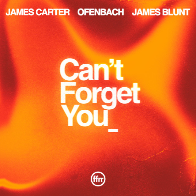 Cover du titre Can’t Forget You (feat. James Blunt)
