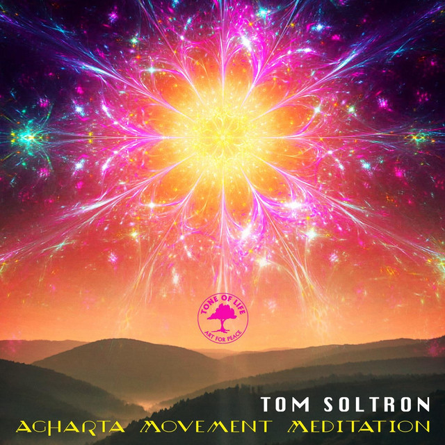 Agharta Movement Meditation cover art