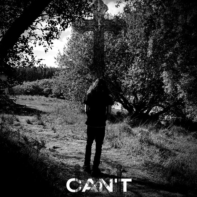 can't cover art