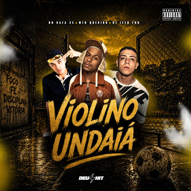 Violino Undaiá