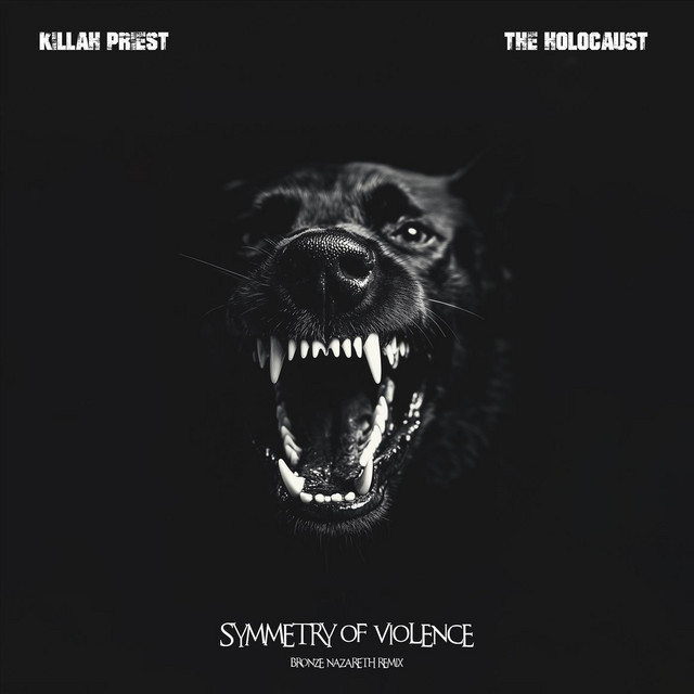 Symmetry of Violence (Bronze Nazareth Remix)