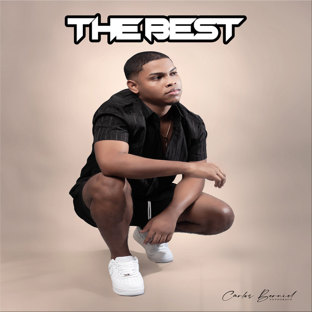 The Best cover art