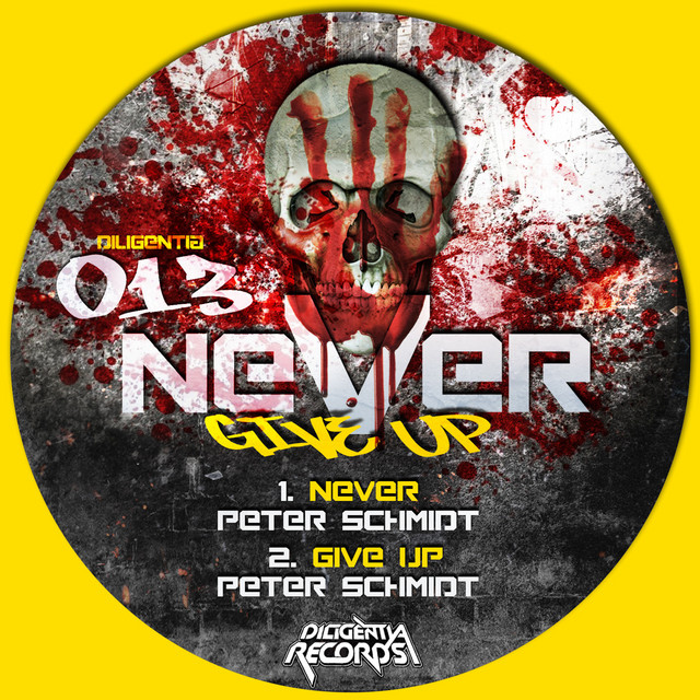 Never Give Up cover art