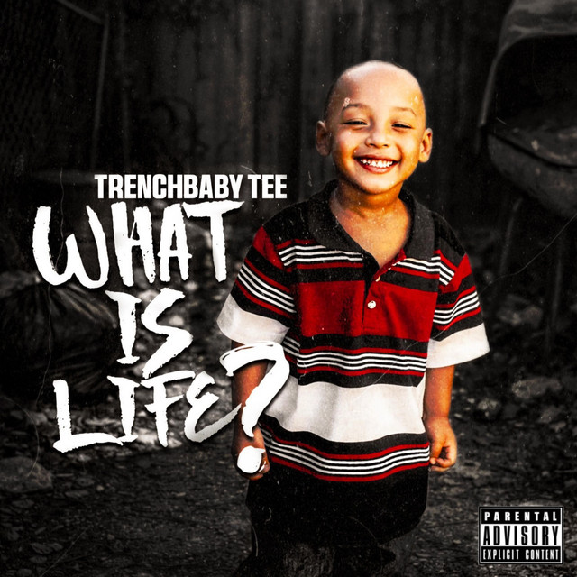 Vibe cover art