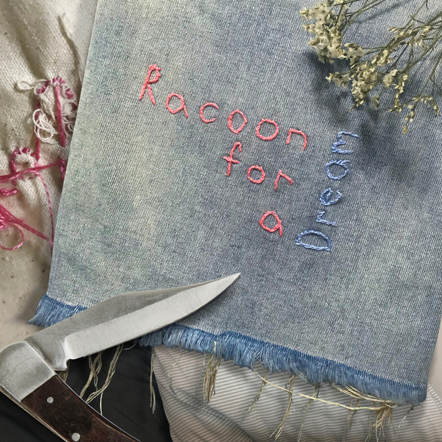 Racoon For A Dream cover art