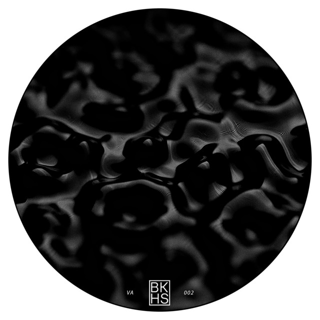 Backhaus VA Vol. 2 cover art
