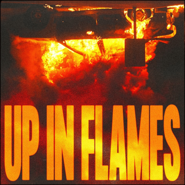UP IN FLAMES cover
