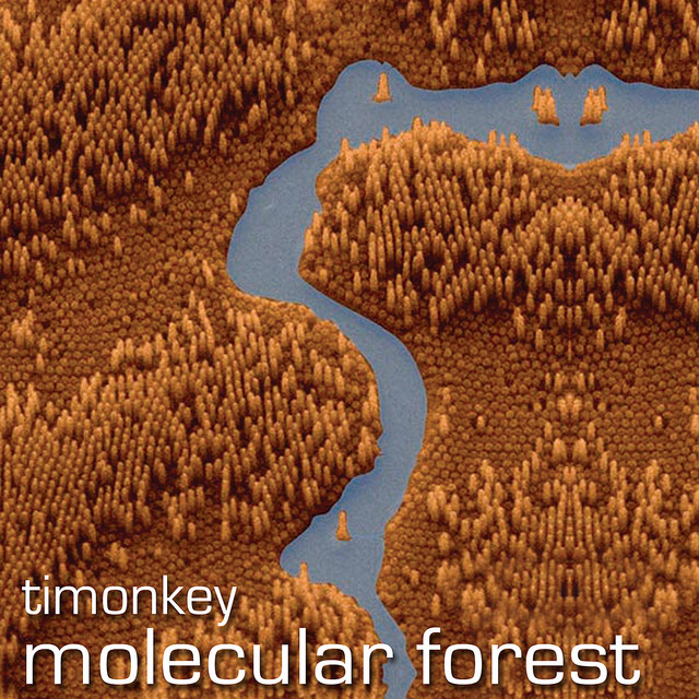 Molecular Forest cover