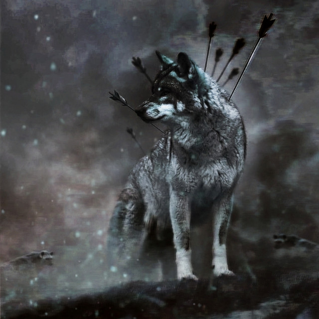 Lonely wolf cover