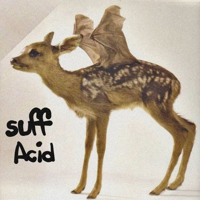 undefined album image