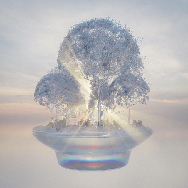 day i. GLASS RAINFOREST