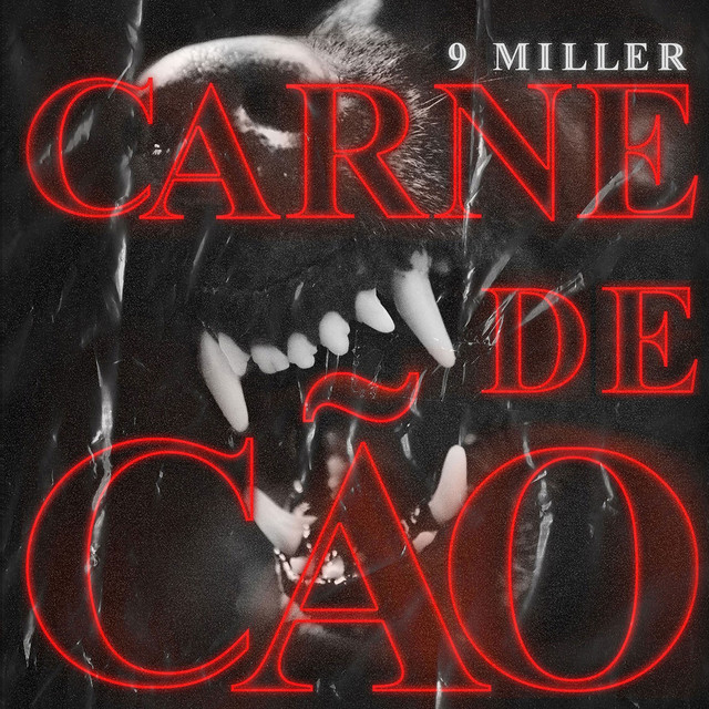 Carne de Cão cover art