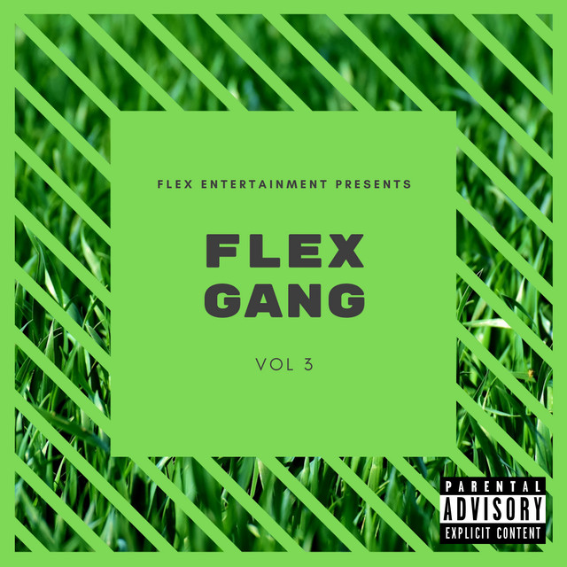 Flex Gang, Vol. 3 - Compilation by Various Artists | Spotify