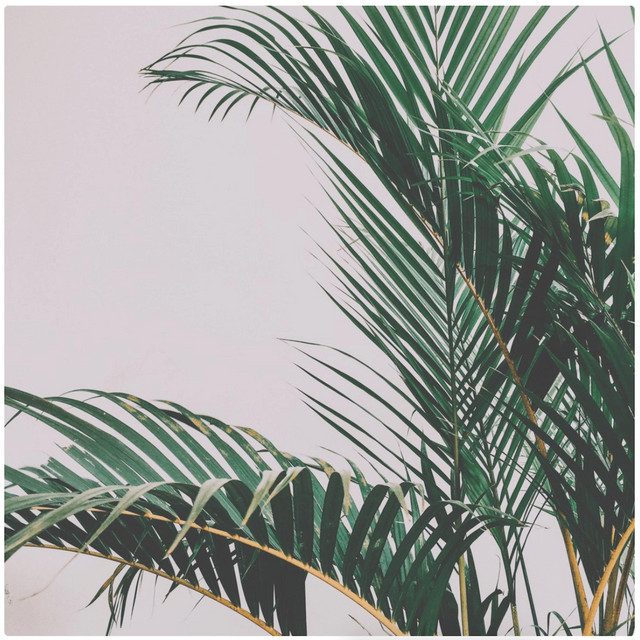 Wave III cover art