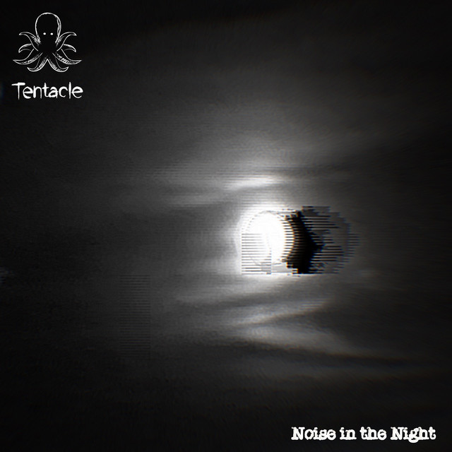 Noise in the Night cover art