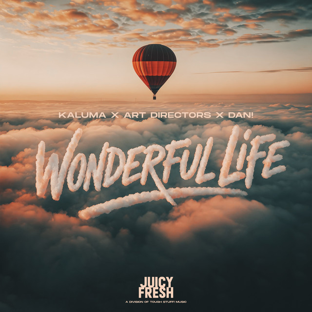Pochette de Wonderful Life