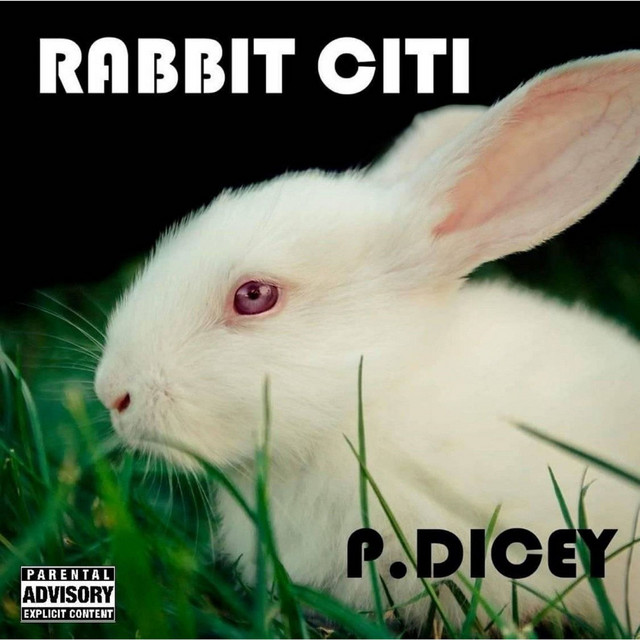 Rabbit Citi - song and lyrics by P.Dicey | Spotify