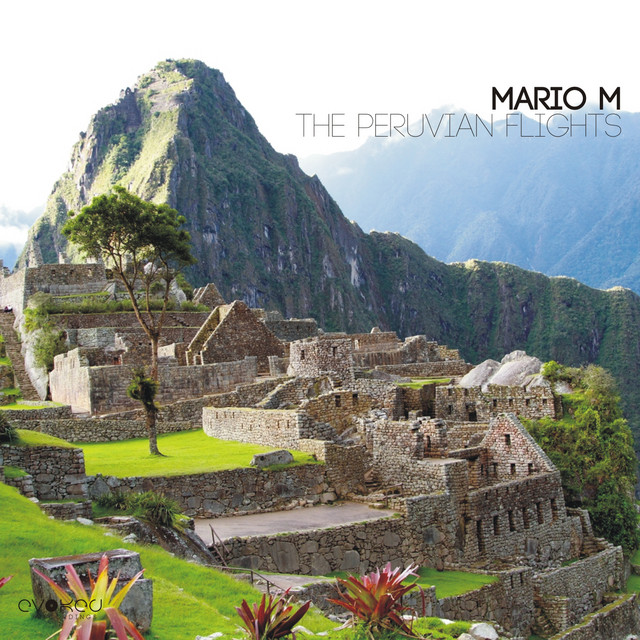 The Peruvian Flights - Aaron Lee Remix cover art