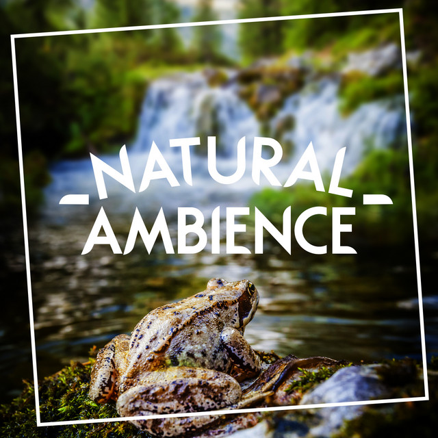 Natural Ambience cover art