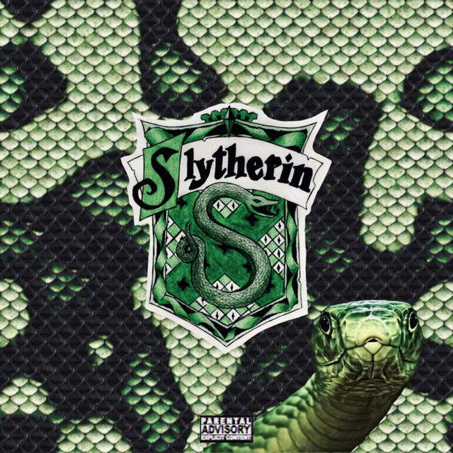 The House Of Slytherin cover art