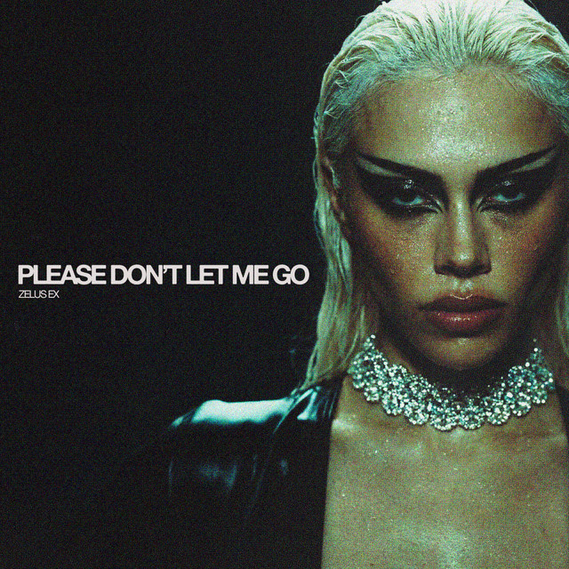 Please Don't Let Me Go