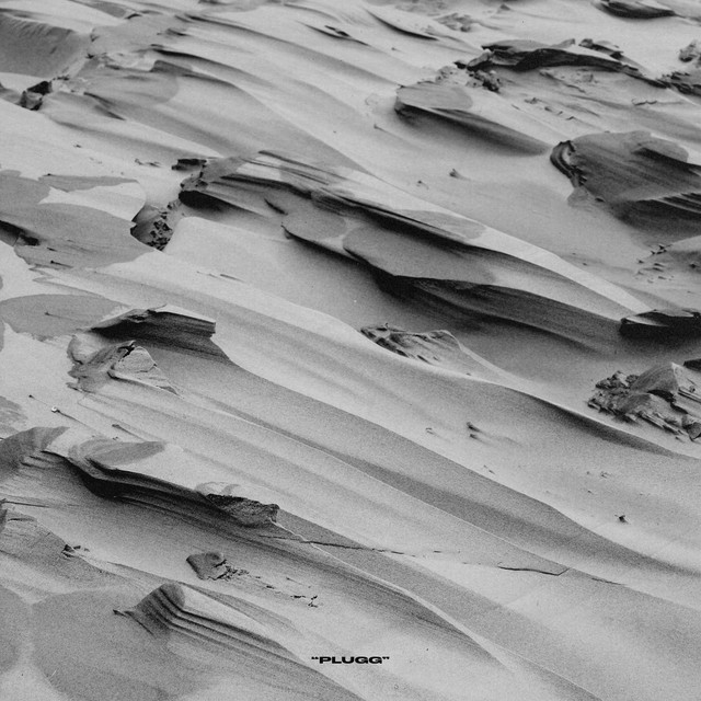 Plugg cover