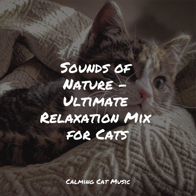 Sounds of Nature - Ultimate Relaxation Mix for Cats - Album by Jazz ...