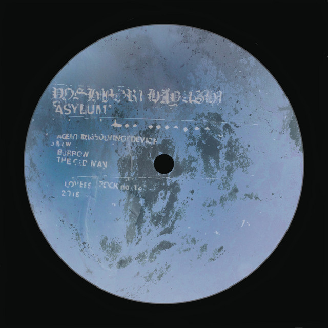 Asylum cover art