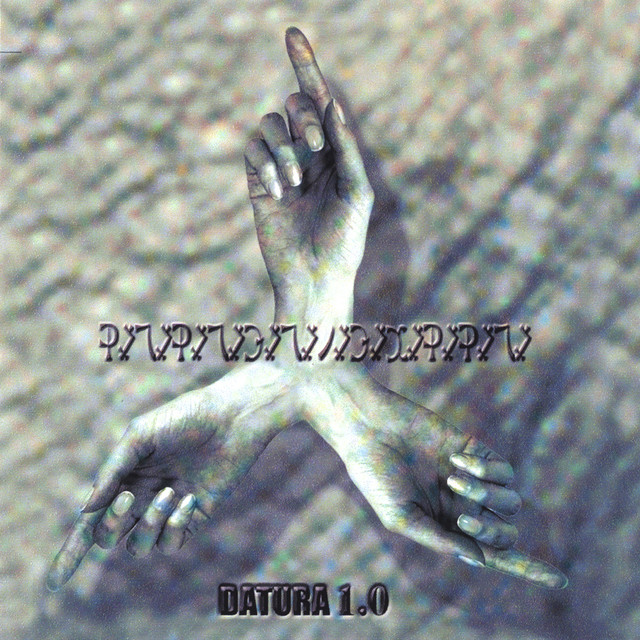 Datura 1.0 photo