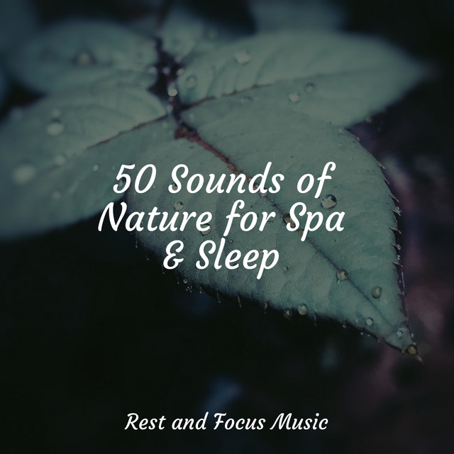 50 Sounds of Nature for Spa & Sleep - Album by Natureza Musica Bem ...