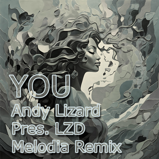 You (Andy Lizard Melodia Remix) cover