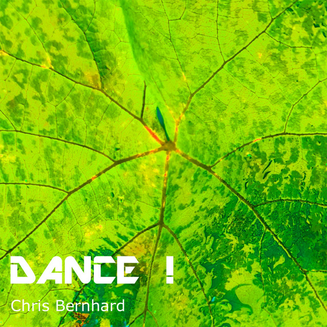 Dance ! cover