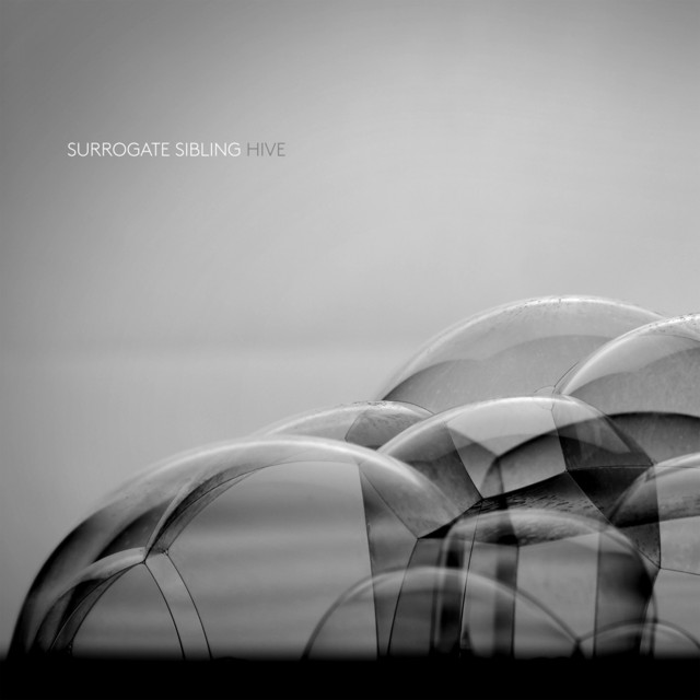 Hive cover art