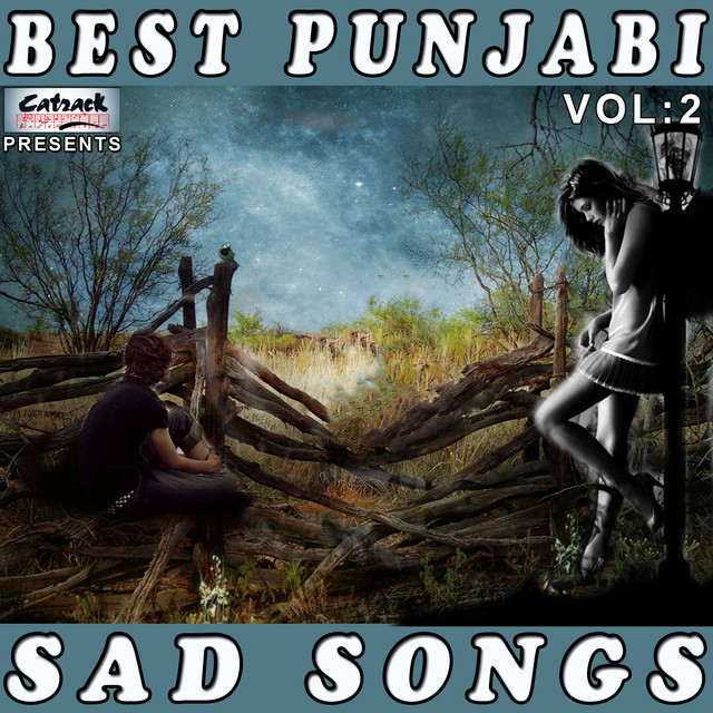 Best Punjabi Sad Songs, Vol. 2 cover art