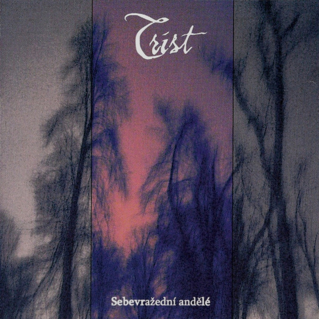 Sebevrazedni Andele cover art