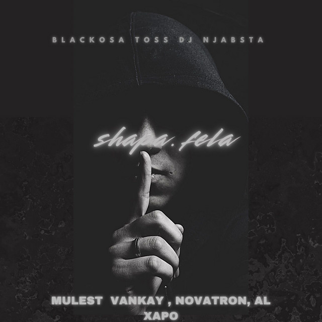 Shapa Fela (feat. Mulest Vankay, Novatron & Al Xapo) album art