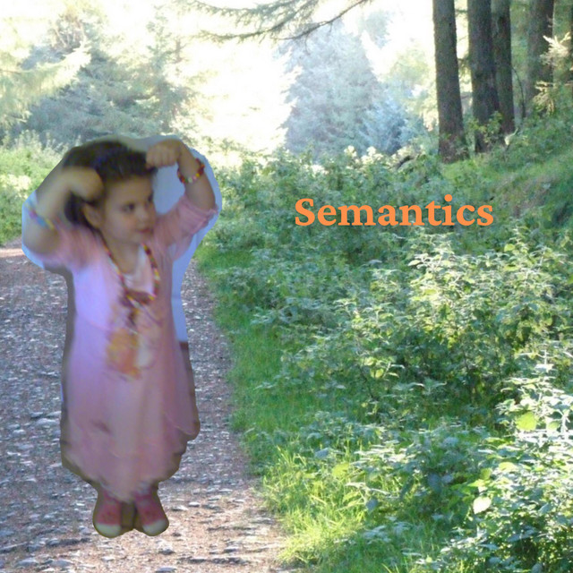 Semantics cover art