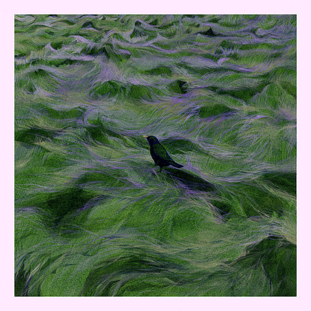still cover art