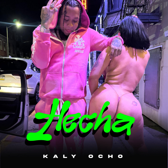 Hecha cover art