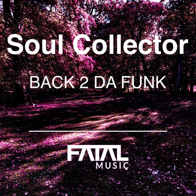 Back 2 Da Funk cover