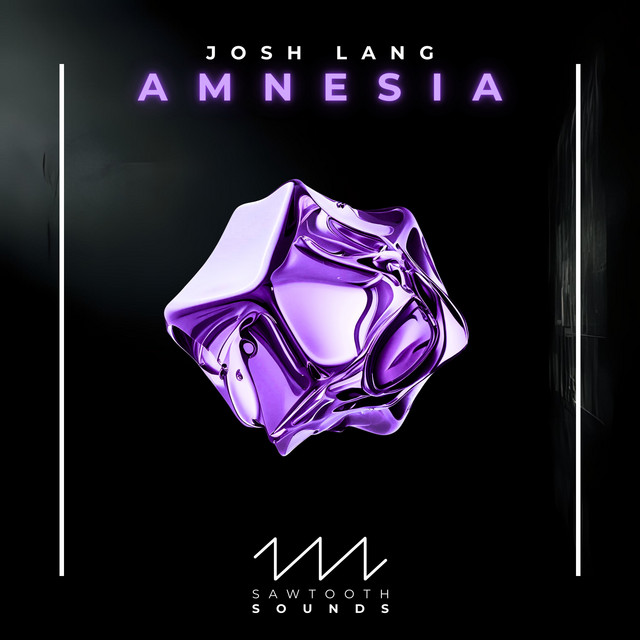 Amnesia cover