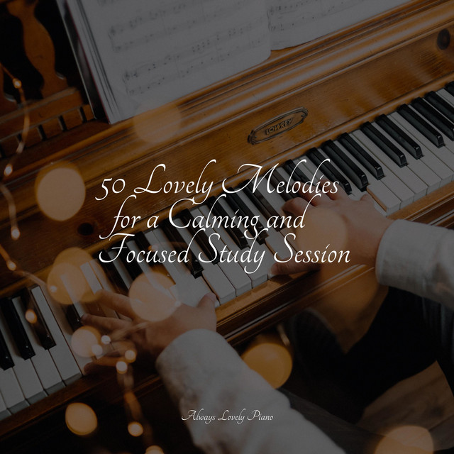 50 Lovely Melodies for a Calming and Focused Study Session - Album by ...