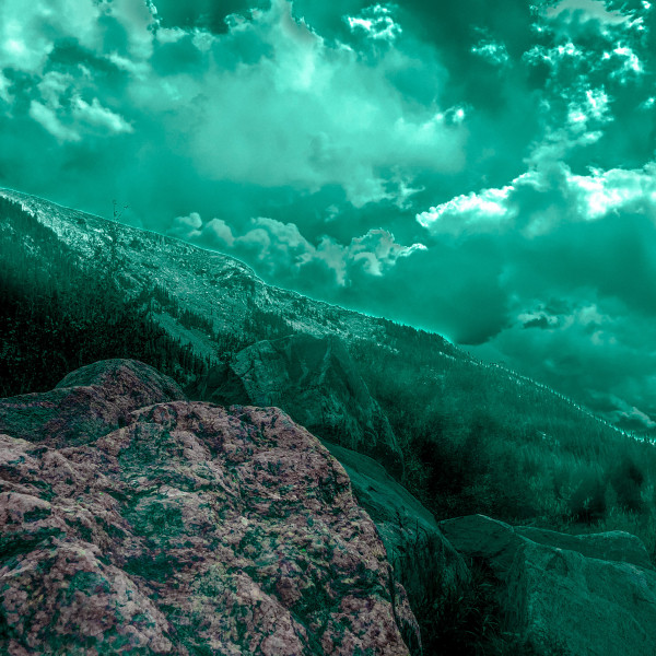 Forsev cover art
