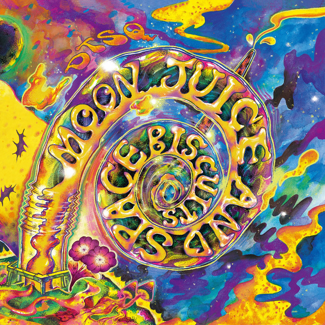Moon Juice And Space Biscuits cover art