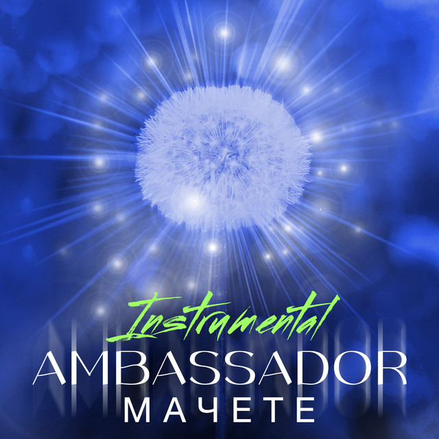 AMBASSADOR (Instrumental) cover art