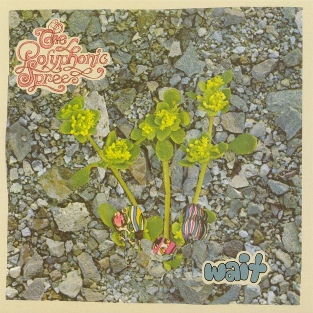 Wait cover art