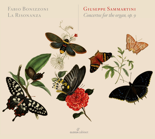 Giuseppe & Giovanni Sammartini: Organ Works cover art