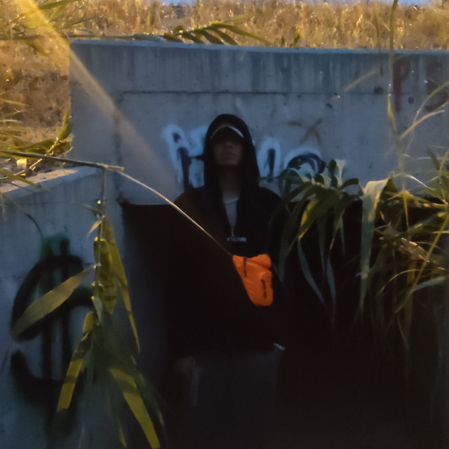 Karma cover art